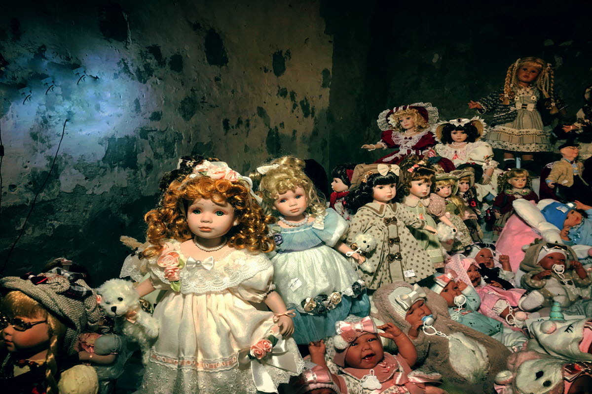 dolls-2022-11-01-23-50-20-utc.jpg