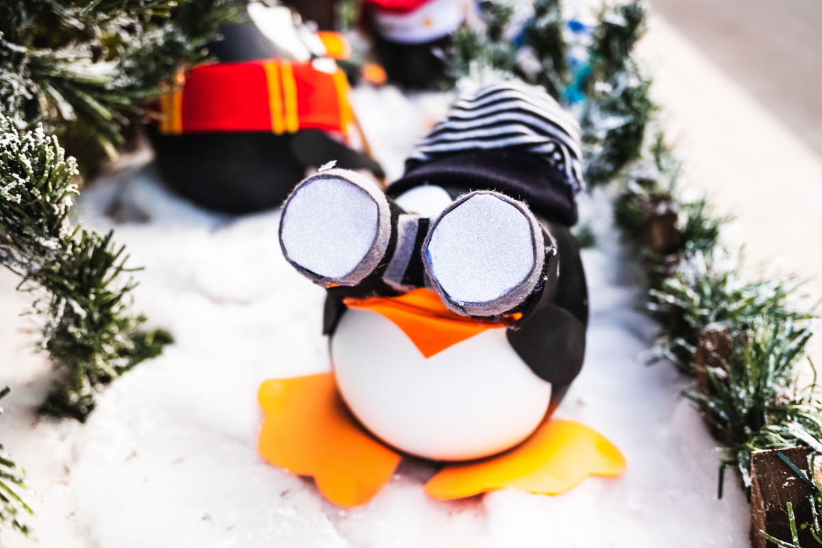funny-penguin-dolls-with-a-camera-christmas-decor-2022-05-03-07-31-13-utc.jpg